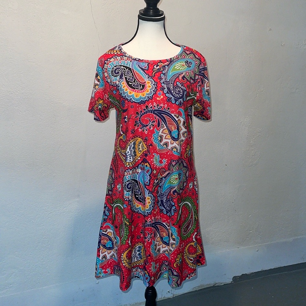 Charlie’s project multicolored dress